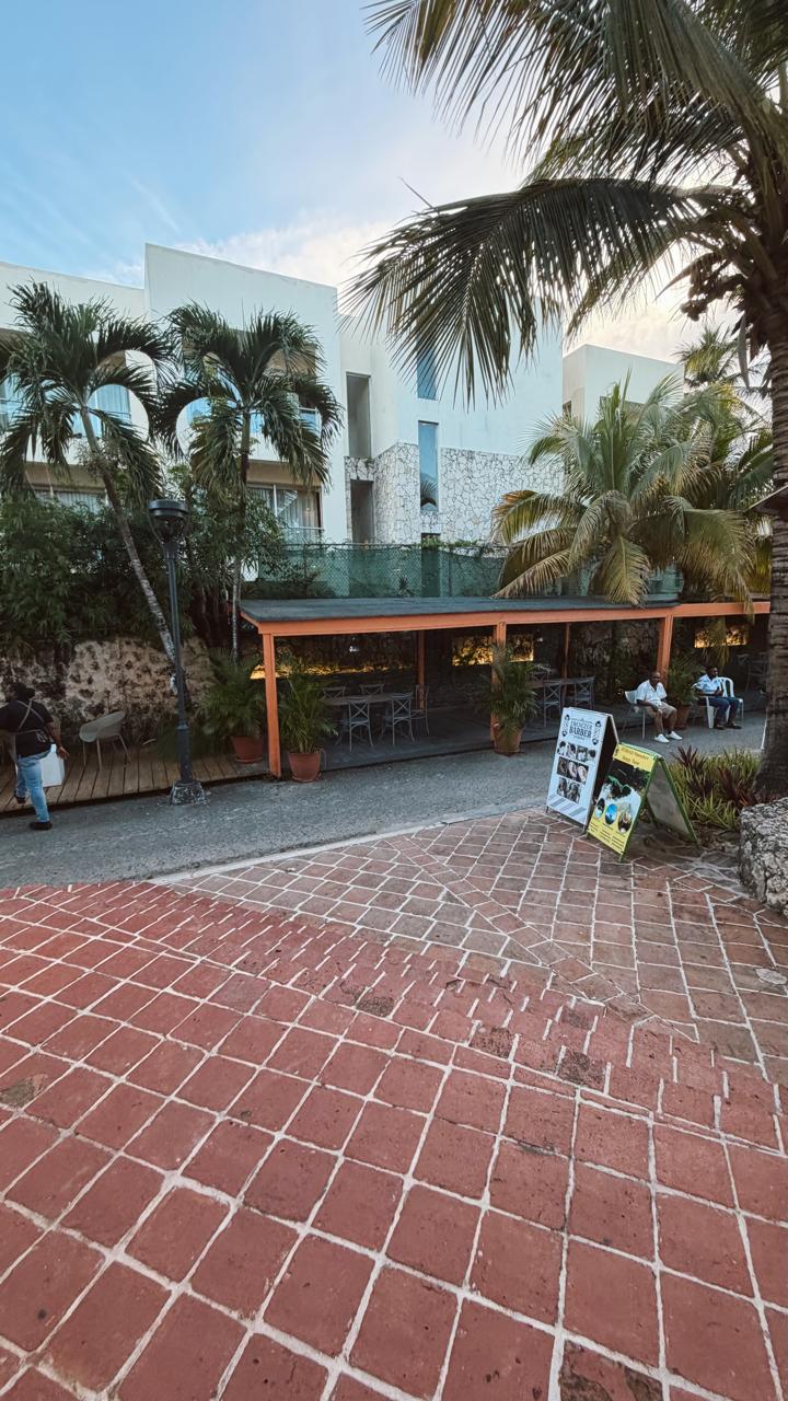Paseo con terraza y palmeras en Bayahíbe