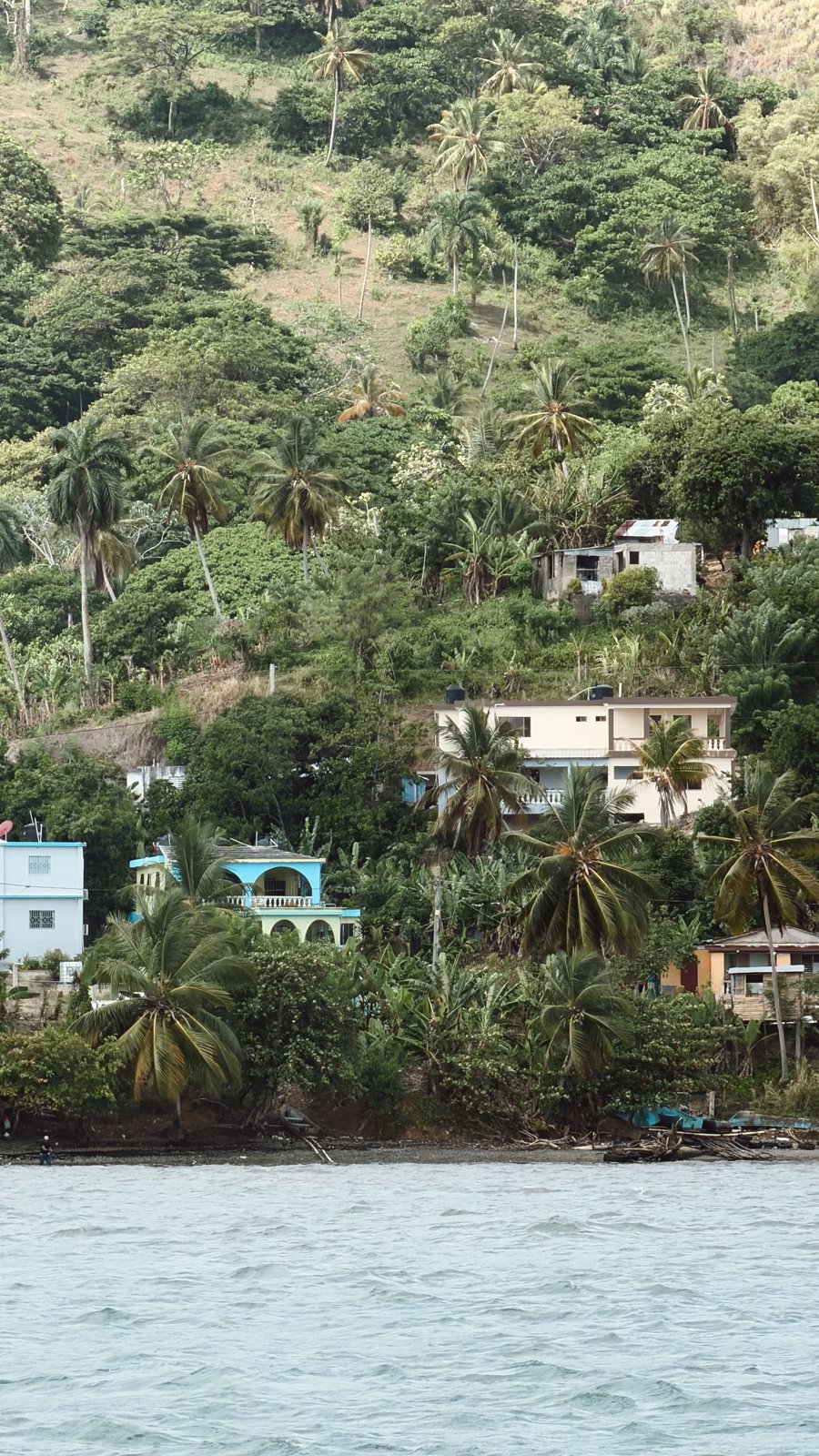 Costa verde de Samaná con casas entre palmeras
