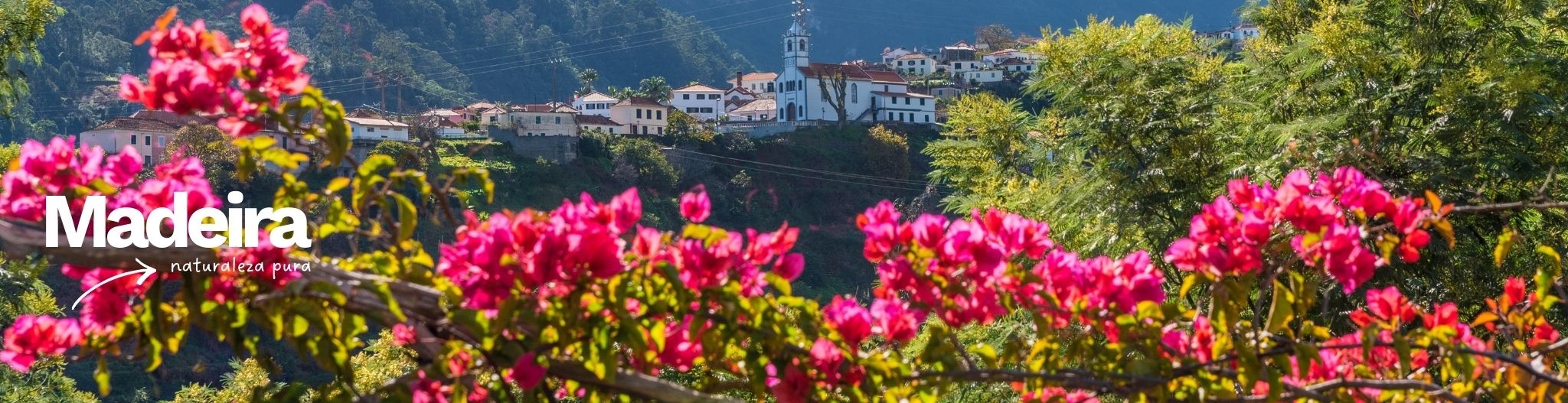 https://onetwotravelingalcaribe.com/viajes/assets/upload/d1867.jpg